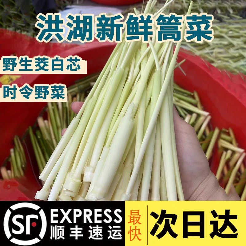 青荷点翠顺丰包邮高菜湖北特产篙菜蒲笋茭白草心新鲜水生蔬菜1斤