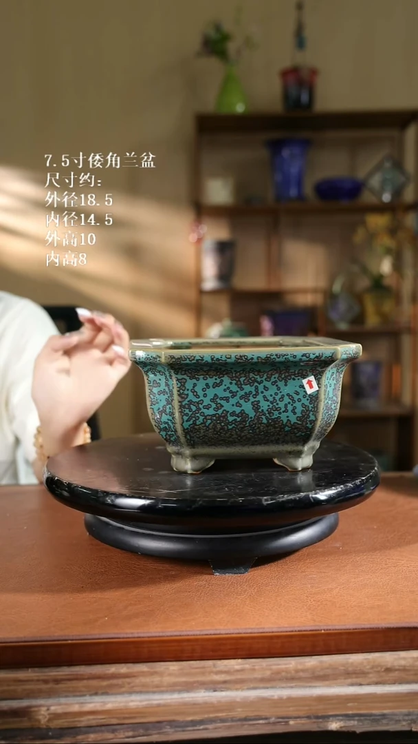7.5寸倭角兰盆 736