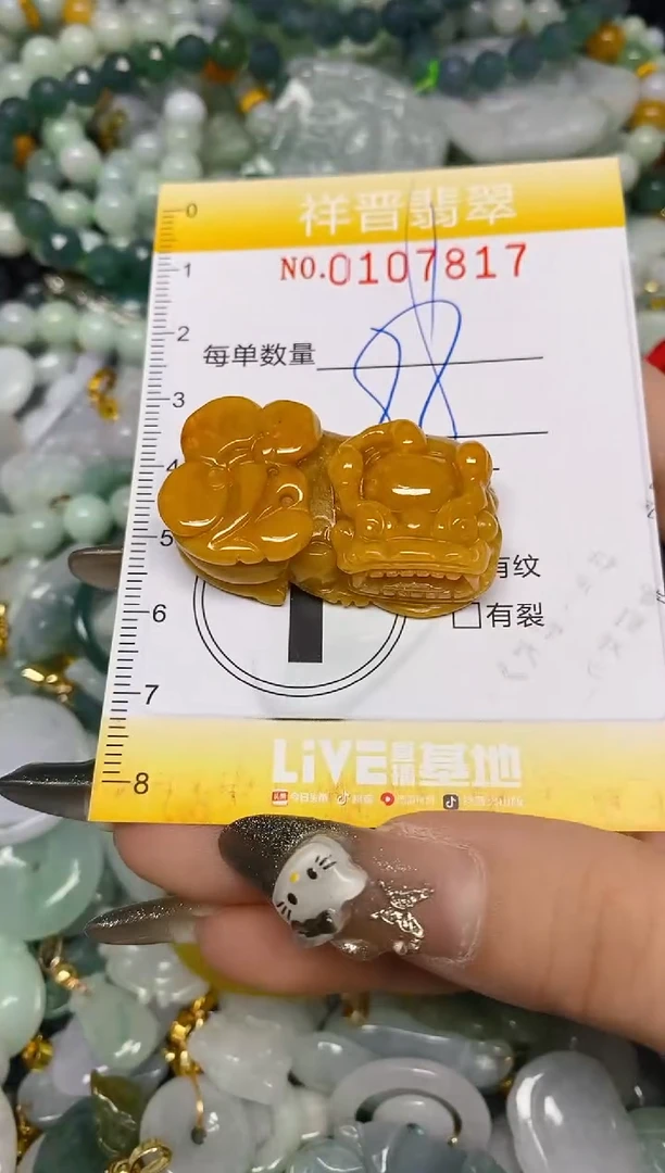 【闪购商品】翡翠颈饰未镶嵌闪购0107817