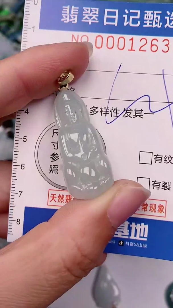 【闪购商品】翡翠颈饰未镶嵌00001263