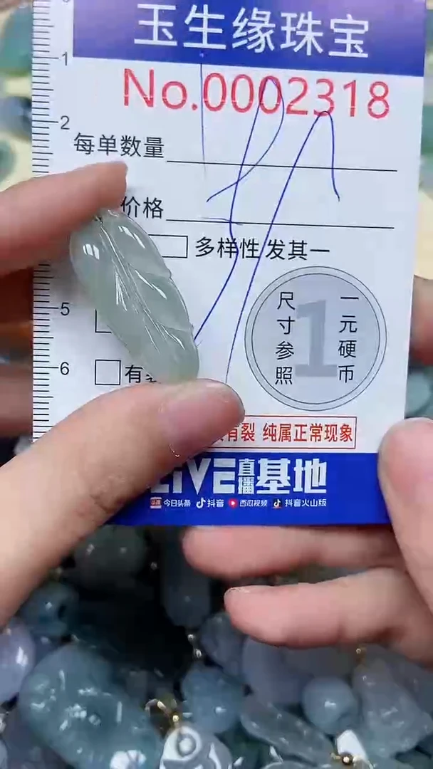 【闪购商品】翡翠颈饰未镶嵌闪购00002318