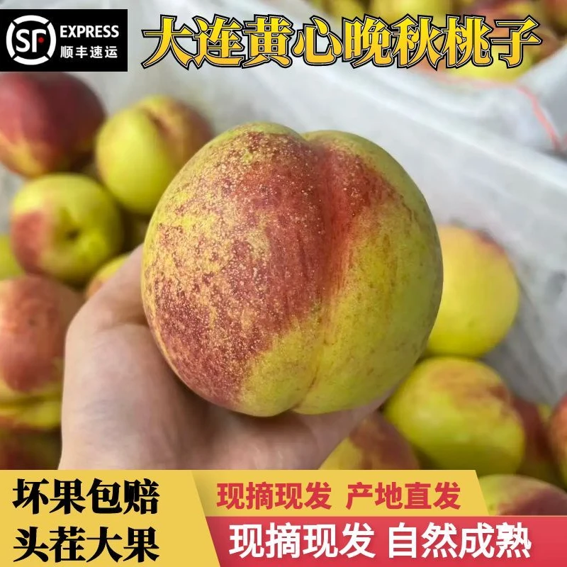 大连油桃黄心油桃国庆一号油桃油桃顺丰包邮5斤新鲜饱满肉厚皮薄