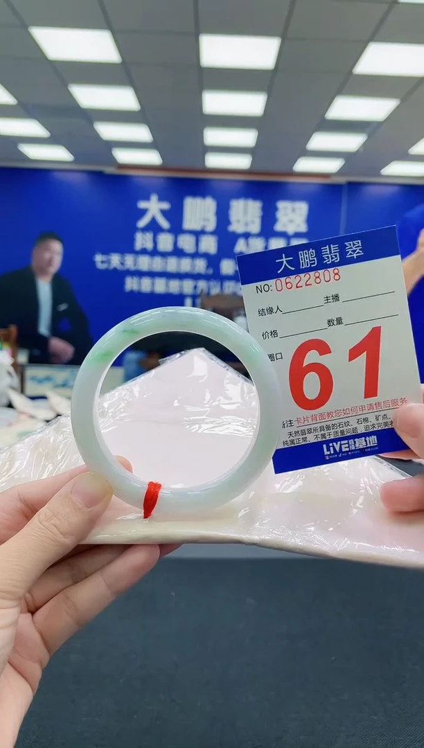 未镶嵌手镯翡翠AAAAAAAAA