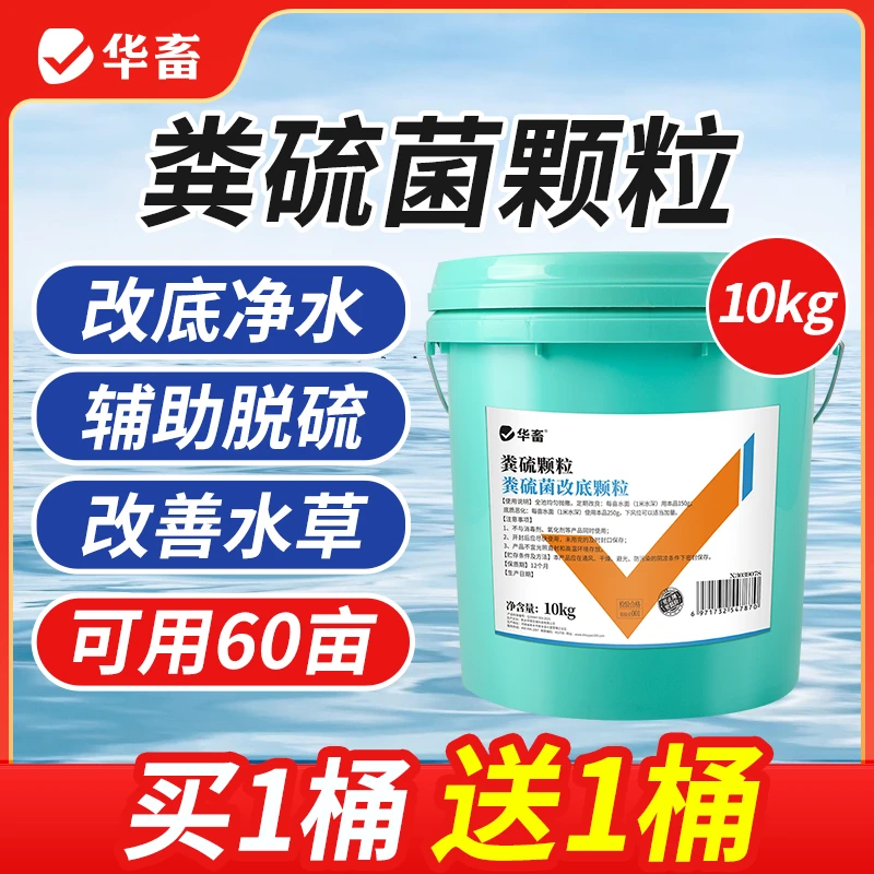 【买一桶送一桶】粪硫菌改底颗粒净化有机质硫化氢除臭改底调水S