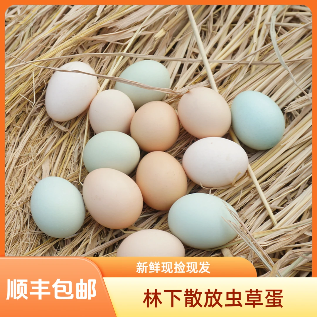 阿尔迪初生蛋林下散养虫草土鸡蛋初生蛋放养鸡蛋现捡现发顺丰包邮