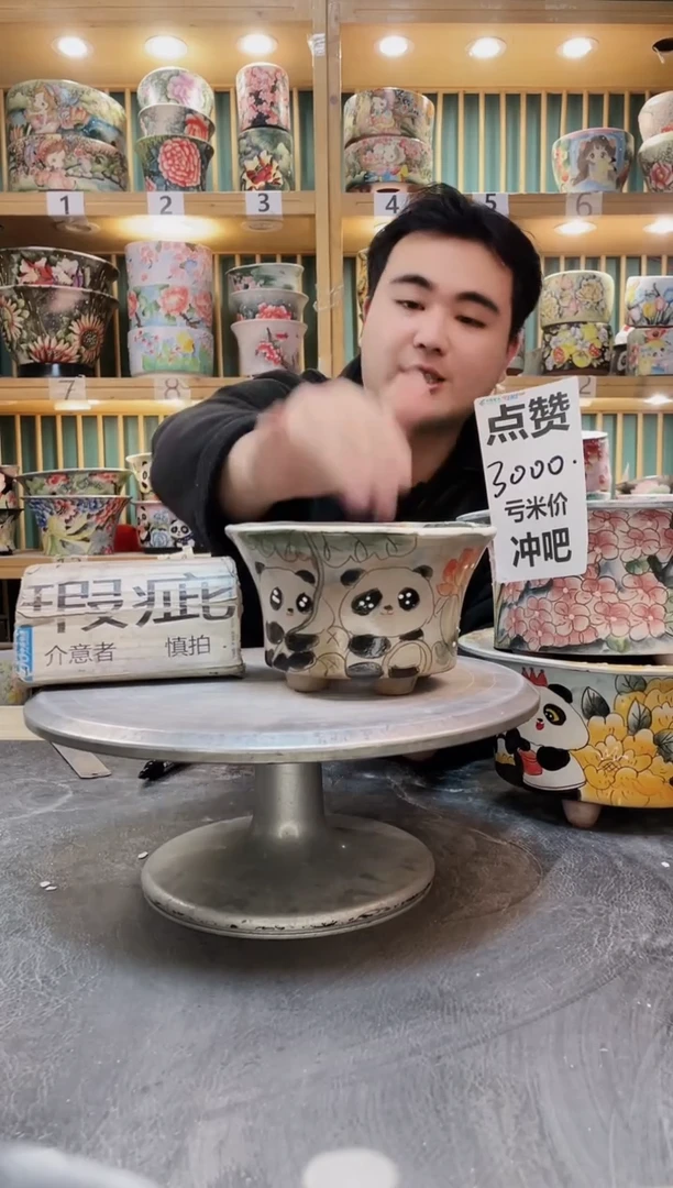 陶默认微瑕一物一拍1227-180