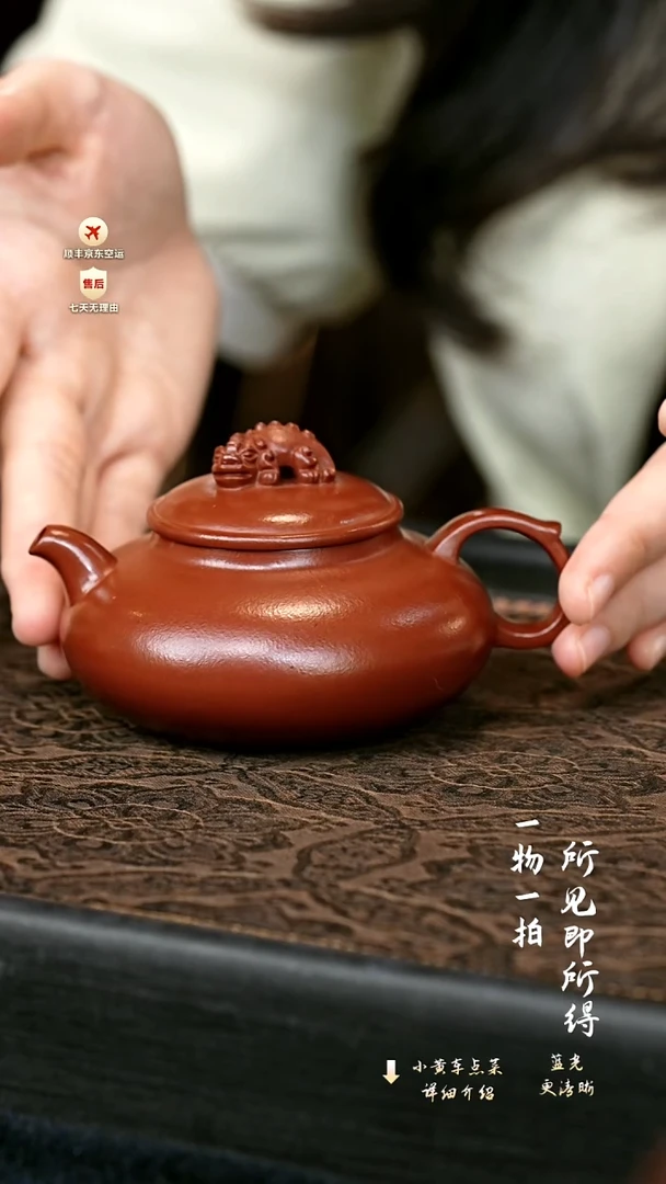茶壶紫砂纳财貔貅壶 一物见春