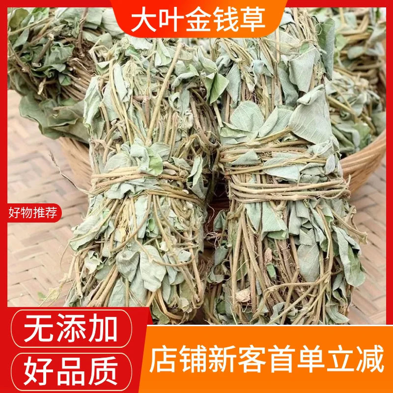 大叶金钱草广西野生金钱草扎捆新鲜干货金钱草泡茶泡水散装包邮