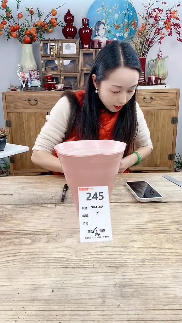 【闪购商品】红陶245