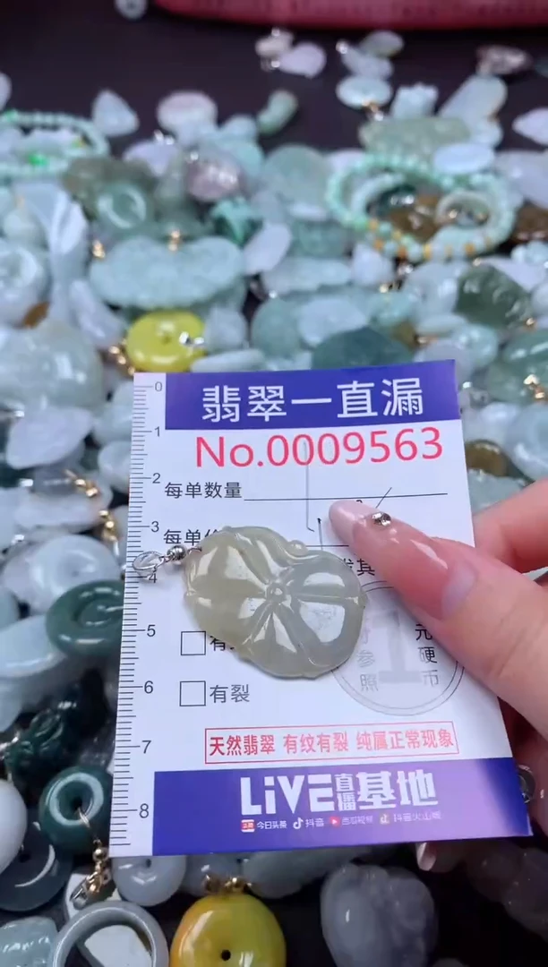 翡翠未镶嵌吊坠(不含链)9563