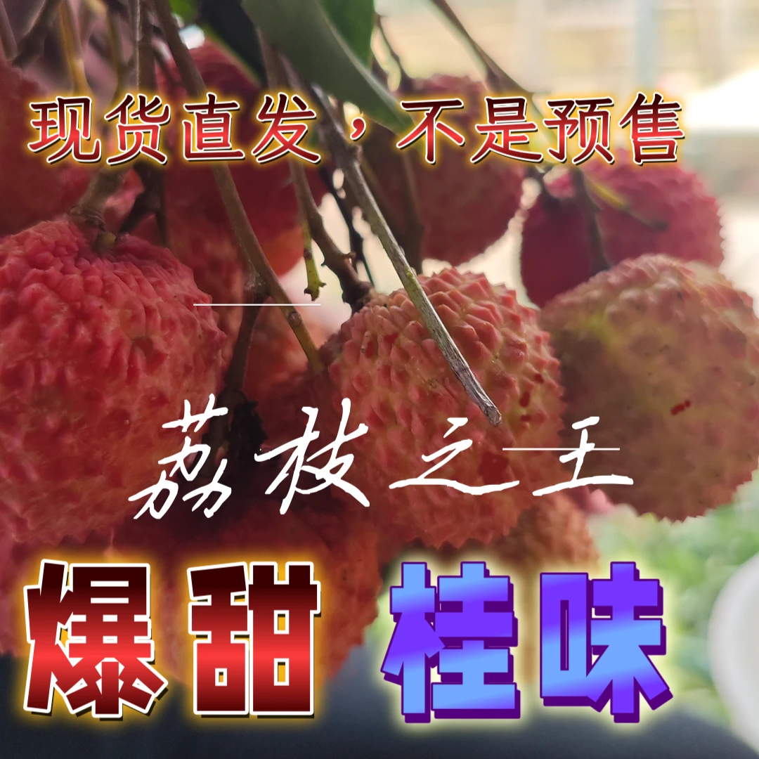 正宗现摘广东桂味荔枝新鲜薄皮水果肉厚核小清甜农户直发粤西荔枝