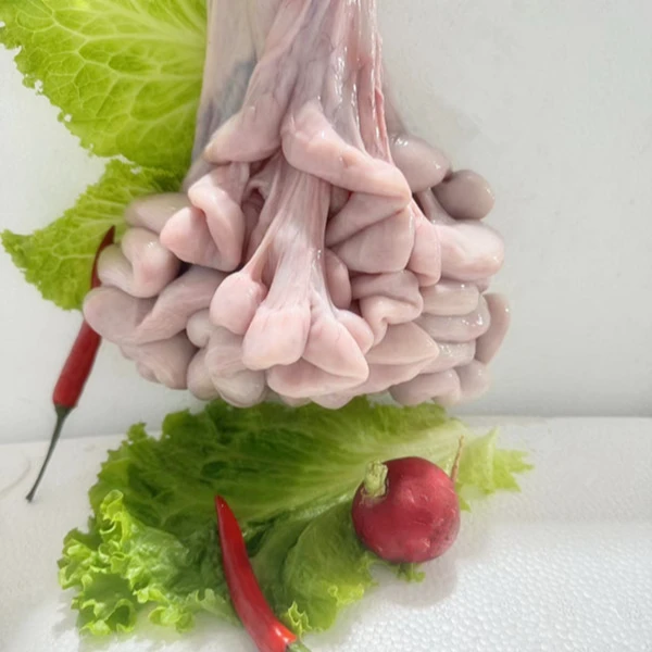 农家散养土猪花肠  新鲜 脆肠爆炒香辣当天现杀   顺丰包邮