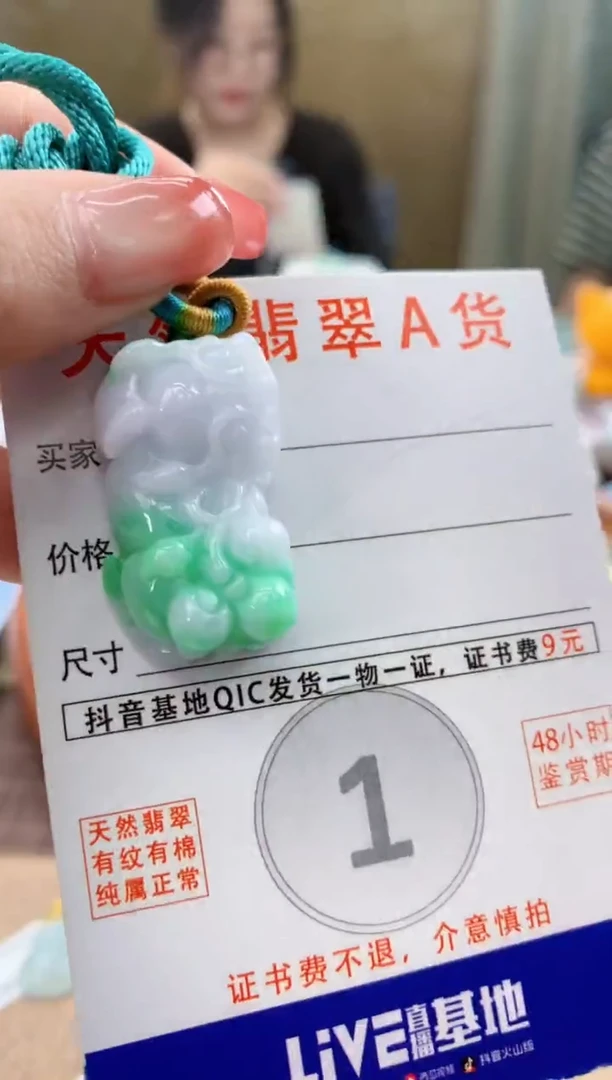 颈饰未镶嵌翡翠天然A货翡翠挂件