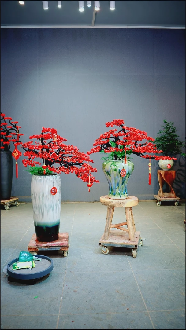 当前无花朵，栽培后可花朵咪**兔37号一物一拍绿植