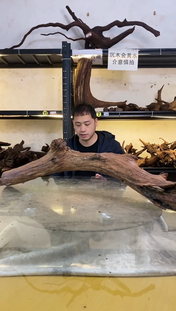 【闪购商品】柚木木艺鱼缸造景沉木966