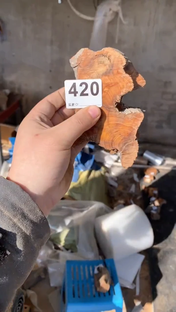 【闪购商品】柏木太行陈化崖柏（津诚林）切片