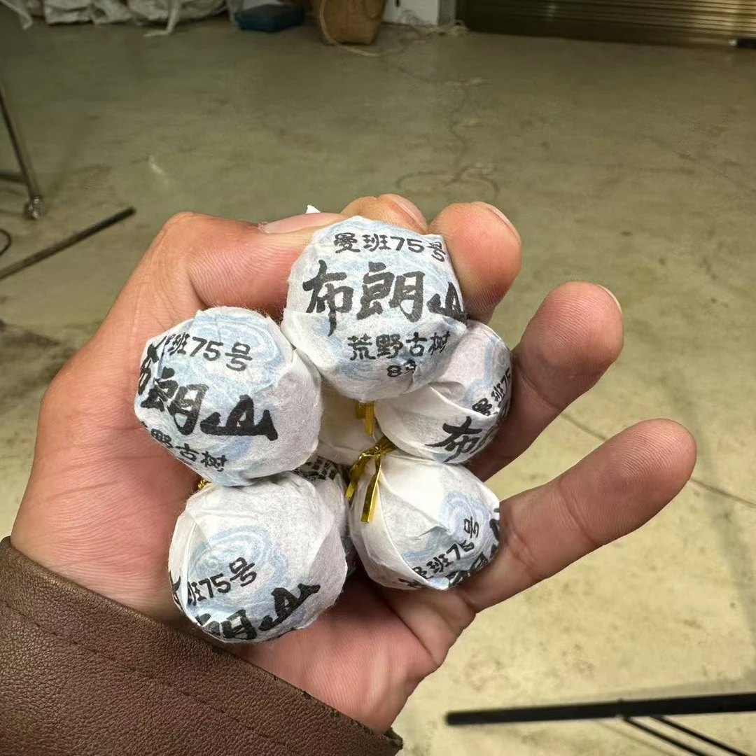 (CN513)ywy/24年头春/曼班老寨75号荒野单株级别/普洱生茶/8g龙珠