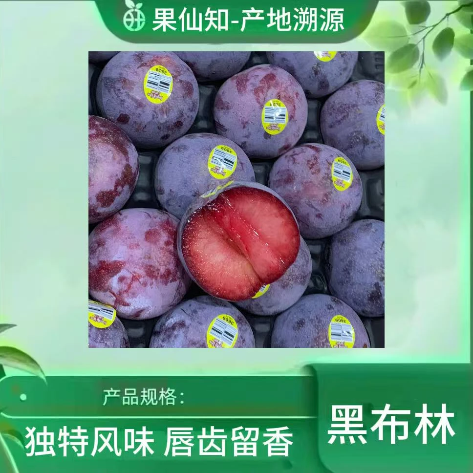 【果仙知甄选-美国进口-空运-黑布林恐龙蛋-2颗】