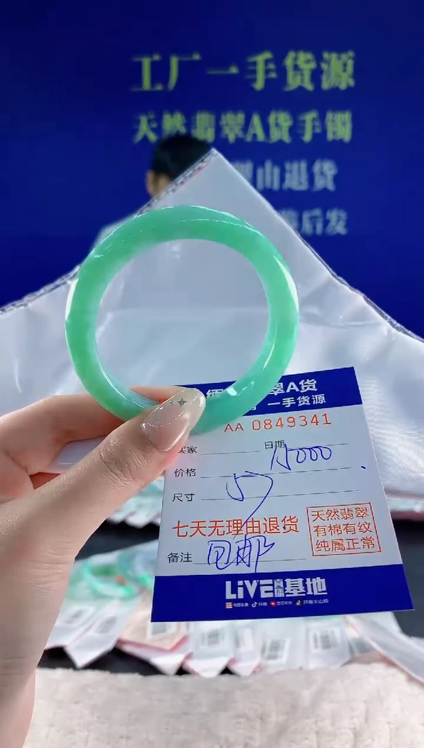 未镶嵌手镯翡翠41