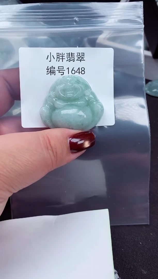 颈饰未镶嵌翡翠缅甸天然A货翡翠1648