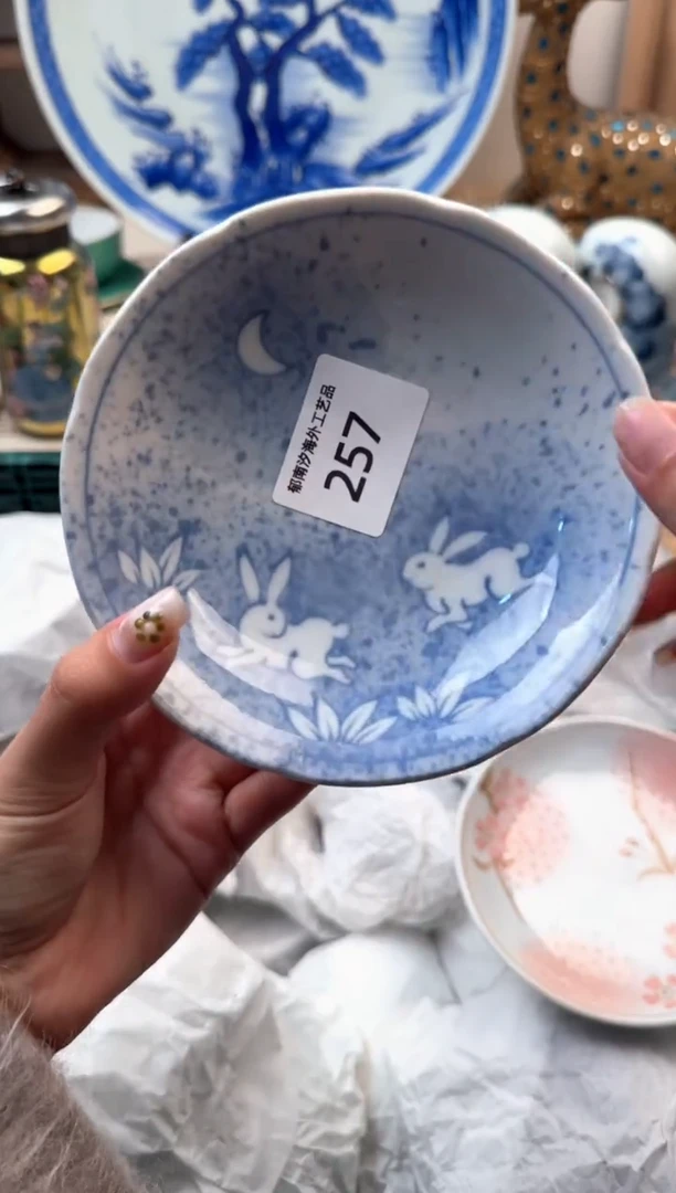 【闪购商品】瓷片A           257