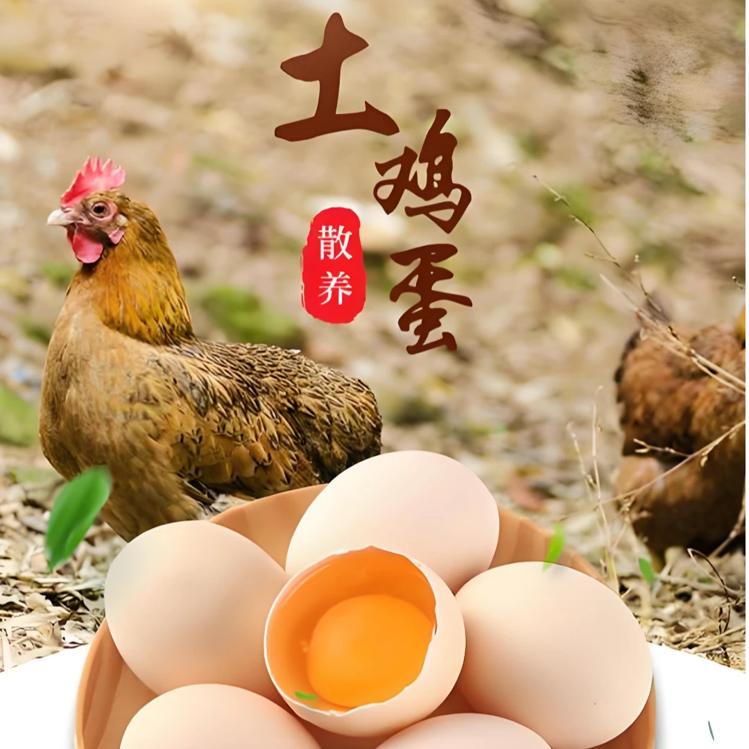 【圆通包邮】【直播间拍30枚送20枚】大山散养新鲜现捡营养初生大号土鸡蛋