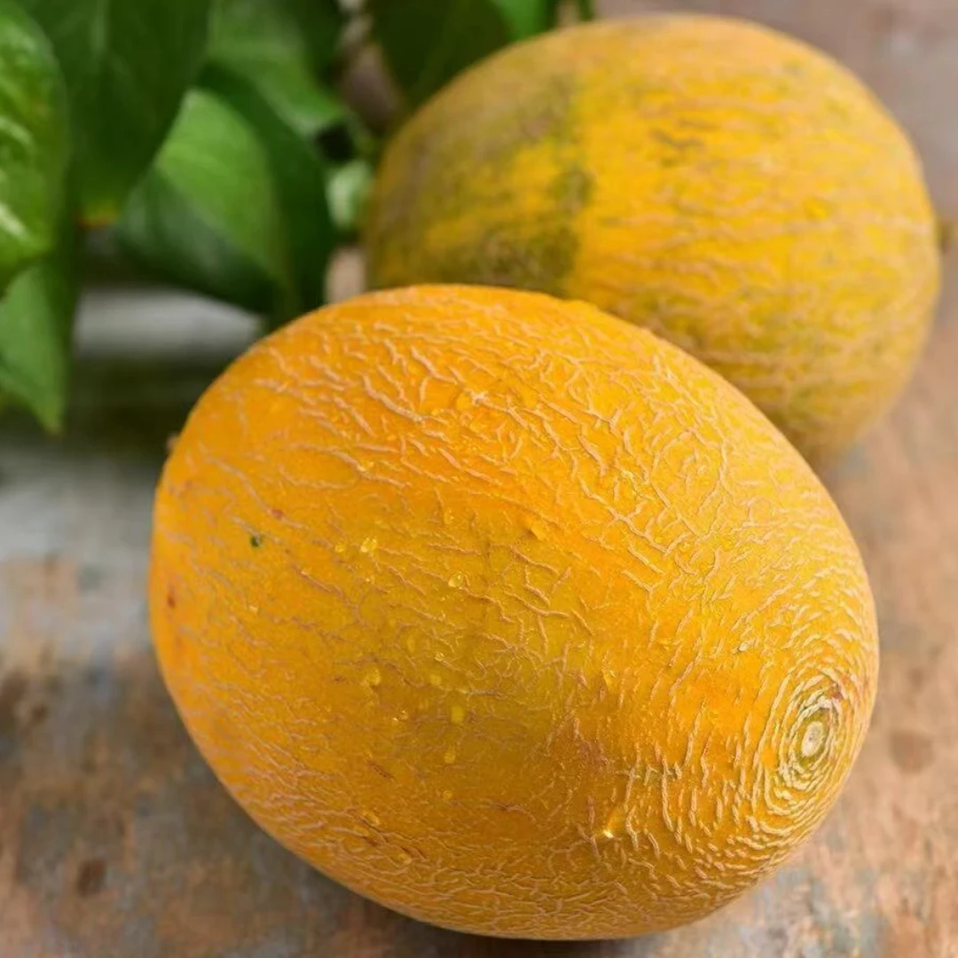 巴盟华莱士瓜 2颗（单颗约450±50）<8.23>