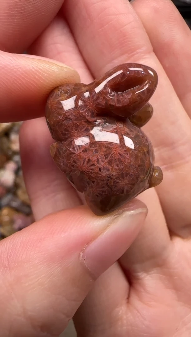硅化珊瑚（珊瑚玉）未镶嵌颈饰388