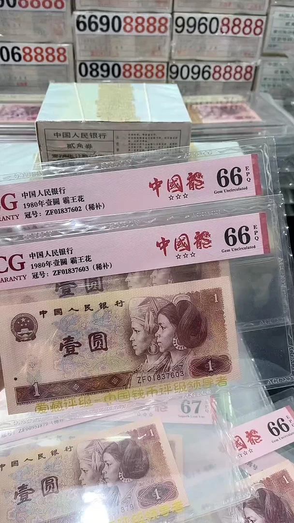 801中国龙稀补ZF单张无4  66分