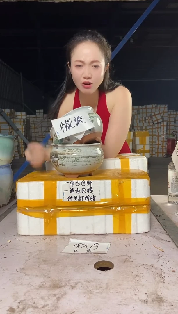 宜兴紫砂粗陶花盆20/13