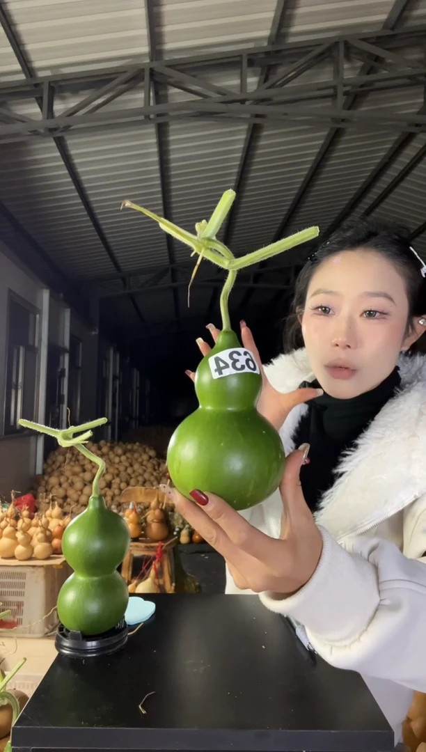 用****9634天然葫芦摆件 一物一拍龙头不保售后