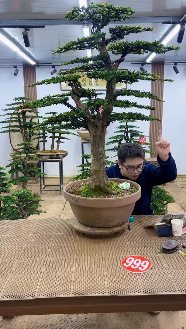 无花朵一物一拍，所见即所得