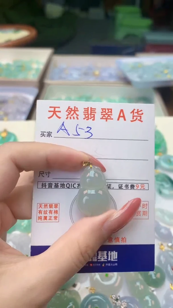 颈饰未镶嵌翡翠天然A货翡翠挂件