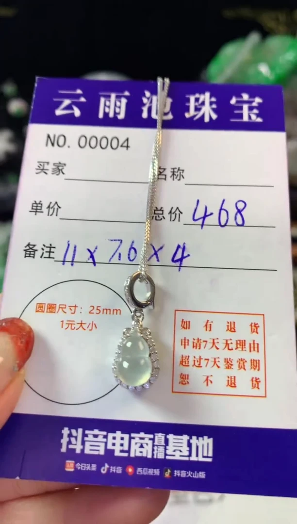 翡翠银S925镶嵌颈饰翡翠