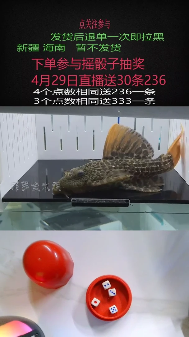 清道夫不包入缸损100
