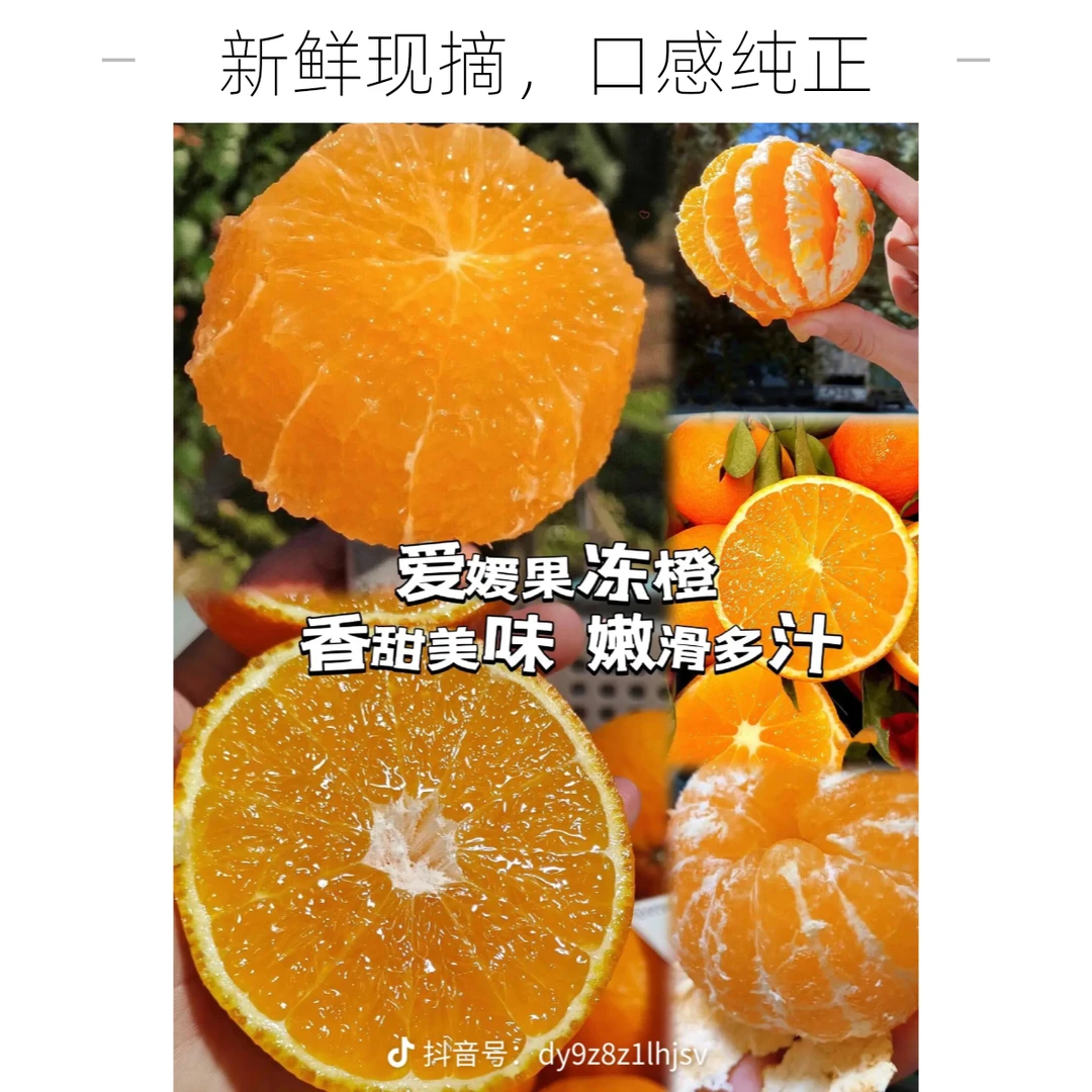 大运精选爱媛果冻橙7斤