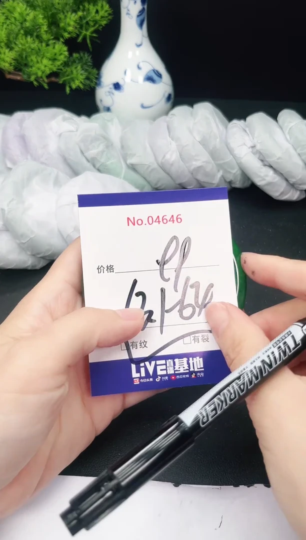 未镶嵌手镯翡翠4646