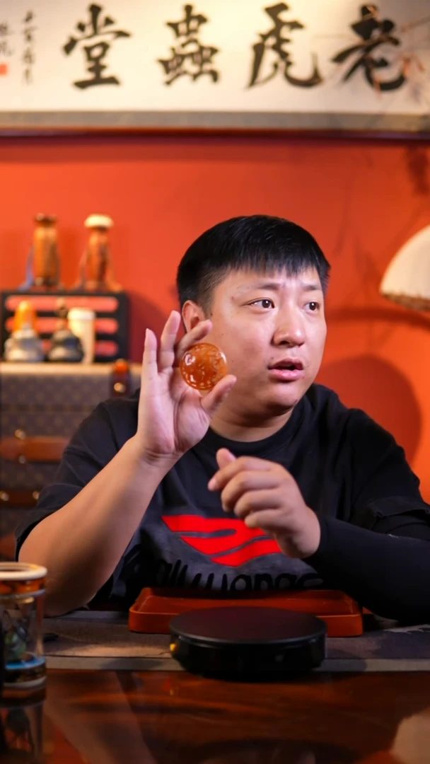 穿****孩金丝斑澜虎精品萌新