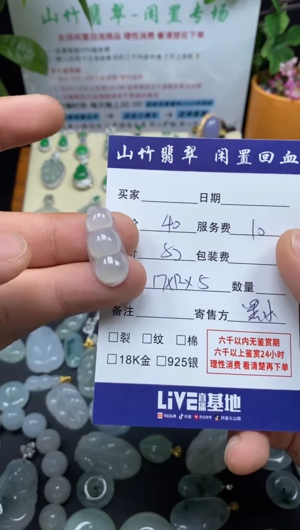 颈饰未镶嵌翡翠3001710