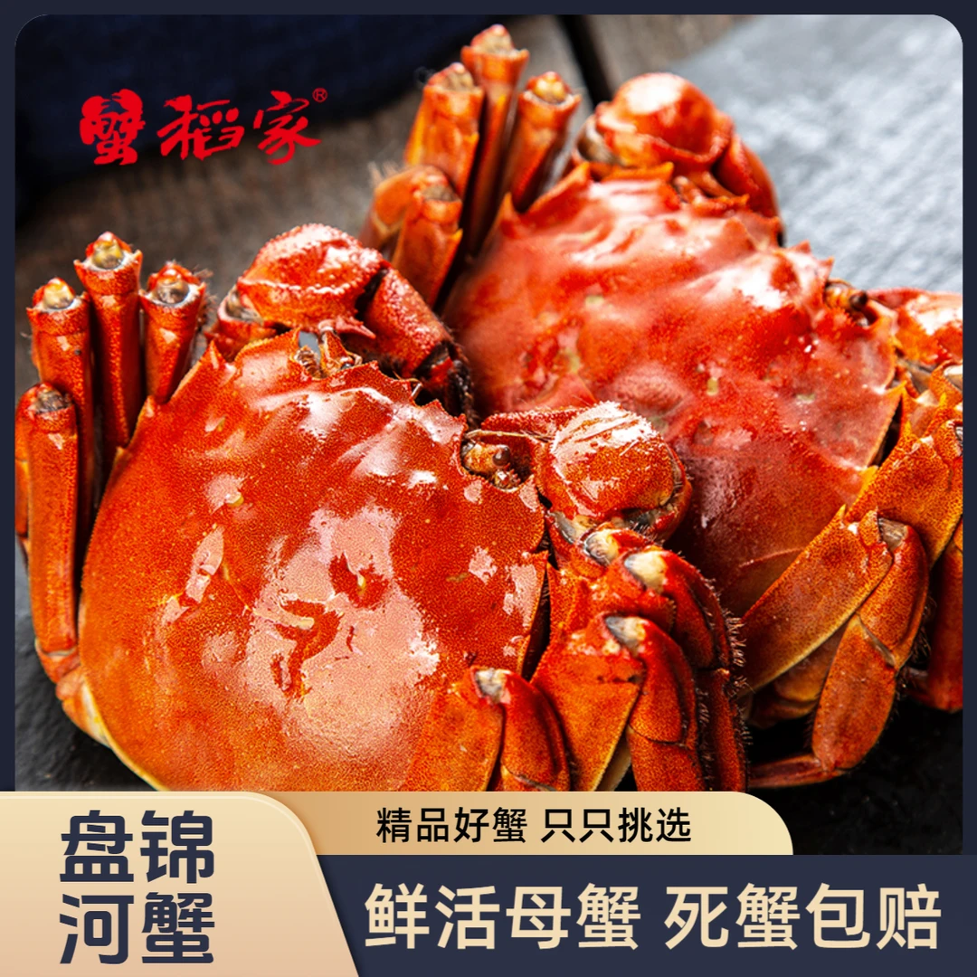【活蟹】 蟹稻家 盘锦稻田蟹 1.4-1.6两/只  2斤/3斤 母蟹 顺丰包邮