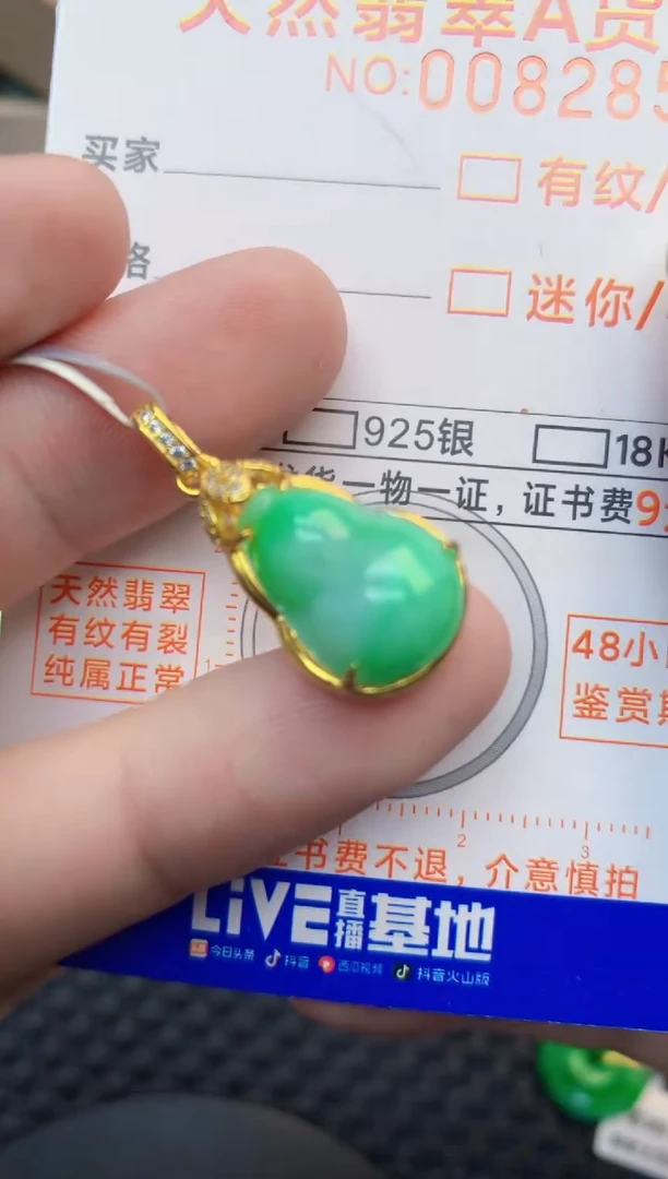 翡翠未镶嵌吊坠(不含链)1
