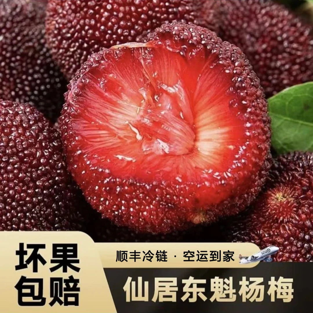 【顺丰包邮】正宗仙居东魁杨梅8A新鲜杨梅鲜果现摘现发颗粒礼盒装浙江省
