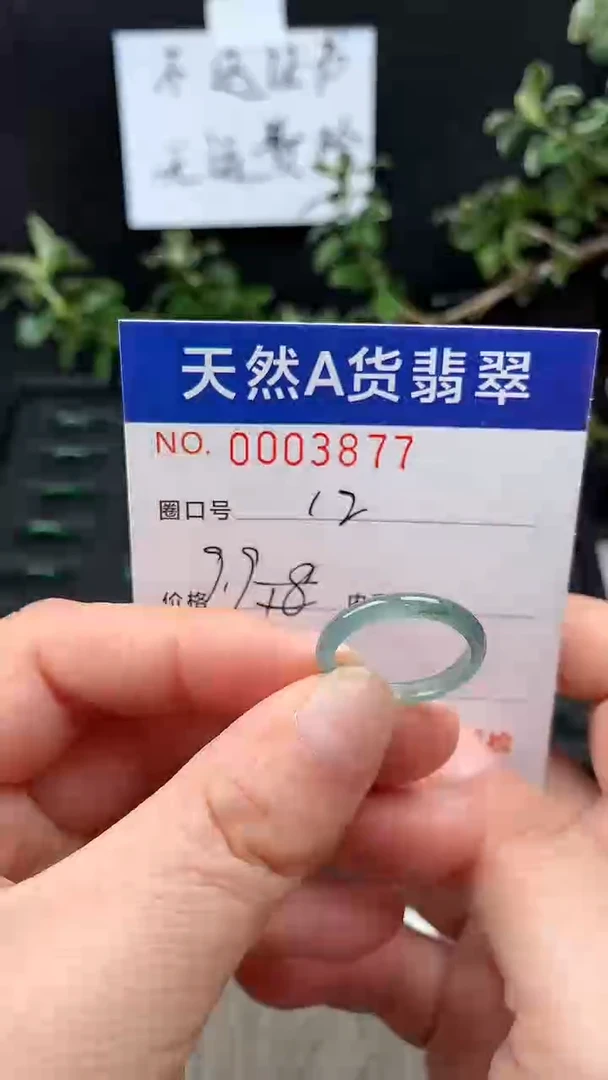 未镶嵌戒指翡翠12#