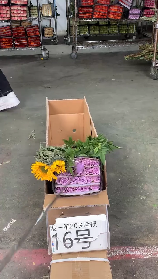 16号♥中通含20%耗损发一箱