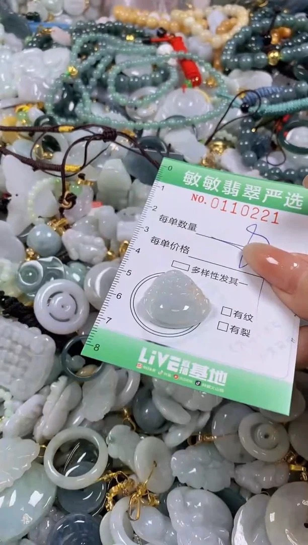 【闪购商品】翡翠颈饰未镶嵌闪购01102221