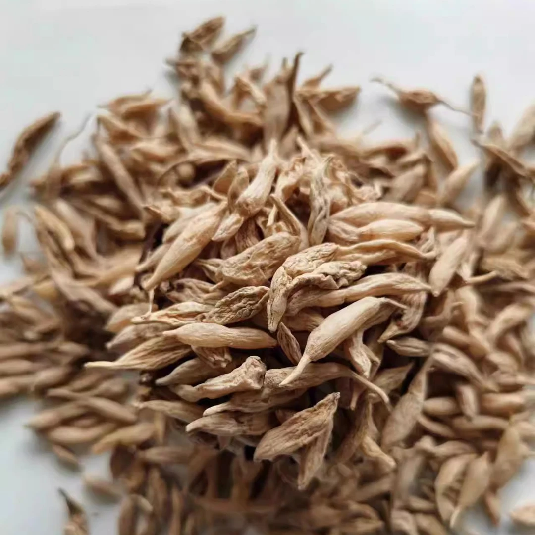 【小雨专属】高山麦冬