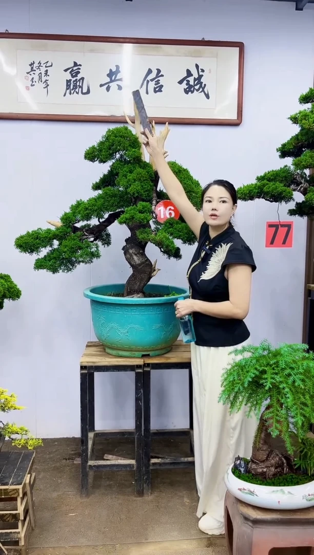 无花朵1**200000000
