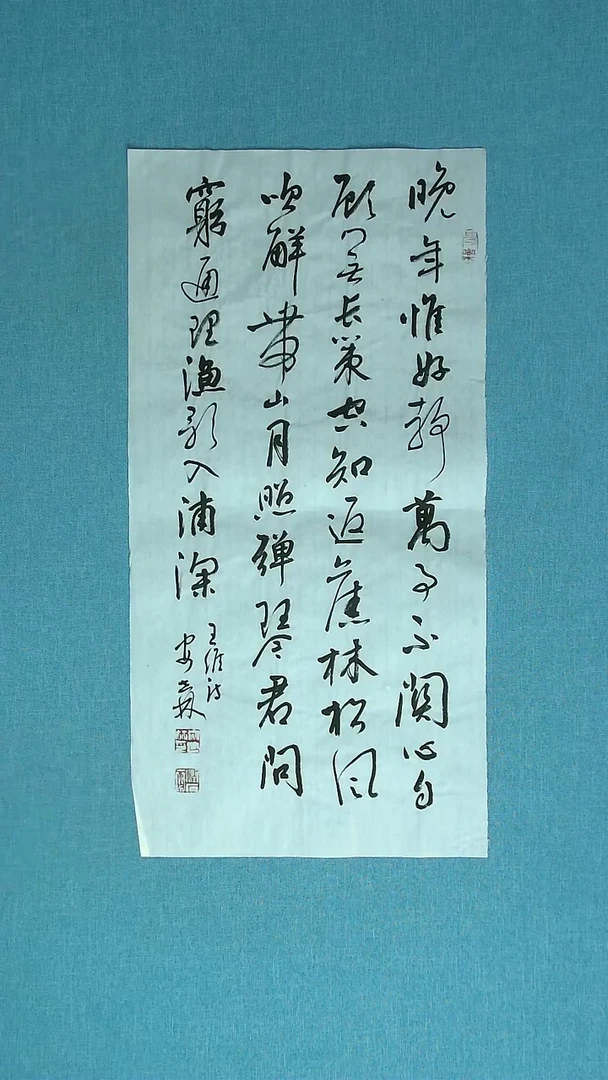 【闪购商品】书法290 甘肃安世林中书协69*34