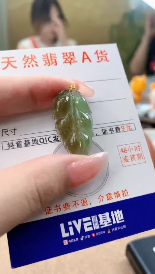 颈饰未镶嵌翡翠天然A货翡翠挂件