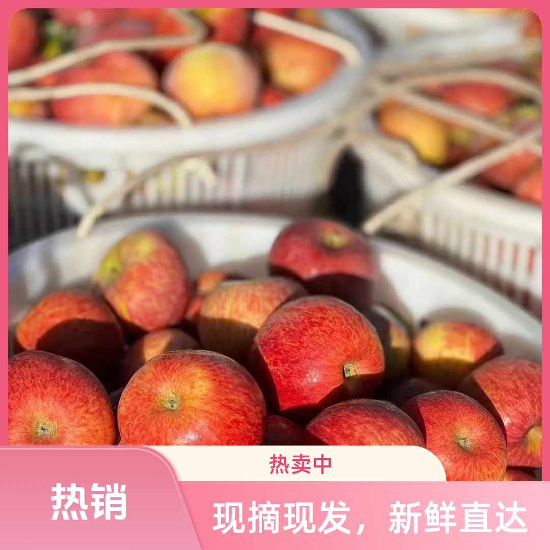 【XX大凉山老树】丑苹果红富士脆甜多汁·坏果包赔
